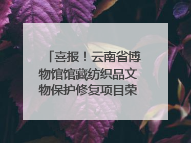 喜报！云南省博物馆馆藏纺织品文物保护修复项目荣获全国十佳