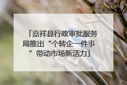 嘉祥县行政审批服务局推出“个转企一件事”带动市场新活力