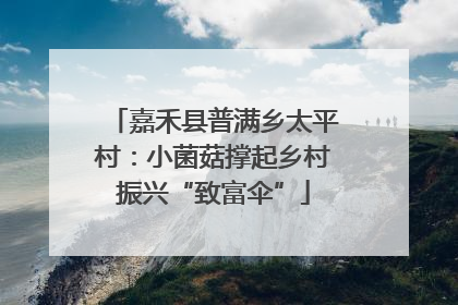 嘉禾县普满乡太平村：小菌菇撑起乡村振兴“致富伞”