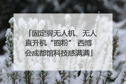 固定翼无人机、无人直升机“圈粉” 西博会成都馆科技感满满