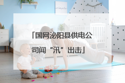 国网泌阳县供电公司闻“汛”出击