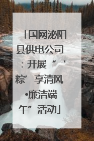 国网泌阳县供电公司：开展“‘粽’享清风 •廉洁端午”活动