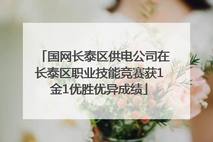 国网长泰区供电公司在长泰区职业技能竞赛获1金1优胜优异成绩