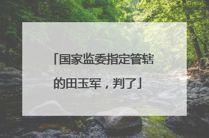 国家监委指定管辖的田玉军，判了