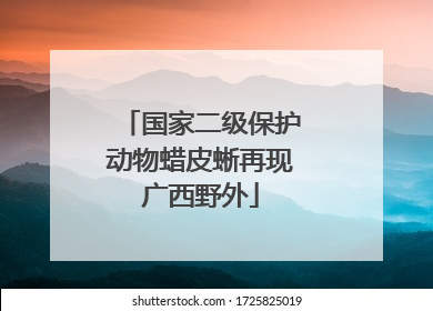 国家二级保护动物蜡皮蜥再现广西野外