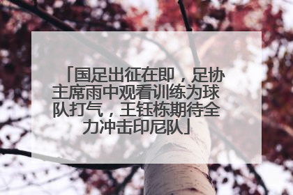 国足出征在即，足协主席雨中观看训练为球队打气，王钰栋期待全力冲击印尼队