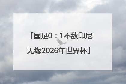 国足0：1不敌印尼 无缘2026年世界杯