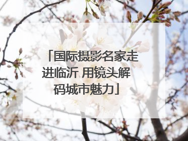 国际摄影名家走进临沂 用镜头解码城市魅力