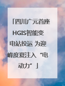 四川广元首座HGIS智能变电站投运 为迎峰度夏注入“电动力”