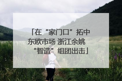 在“家门口”拓中东欧市场 浙江余姚“智造”组团出击