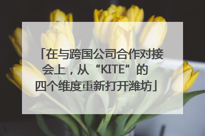 在与跨国公司合作对接会上，从“KITE”的四个维度重新打开潍坊
