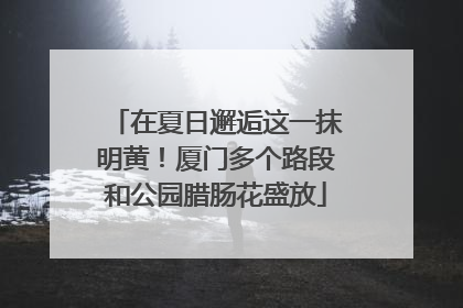 在夏日邂逅这一抹明黄！厦门多个路段和公园腊肠花盛放