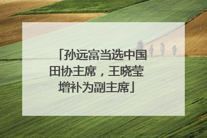孙远富当选中国田协主席，王晓莹增补为副主席