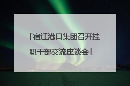 宿迁港口集团召开挂职干部交流座谈会