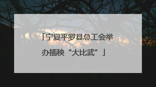 宁夏平罗县总工会举办插秧“大比武”