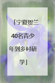 宁夏贺兰40名青少年到乡村研学