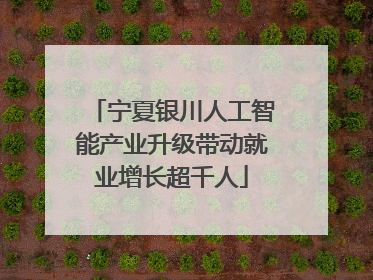 宁夏银川人工智能产业升级带动就业增长超千人