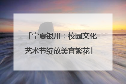 宁夏银川：校园文化艺术节绽放美育繁花