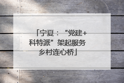 宁夏：“党建+科特派”架起服务乡村连心桥
