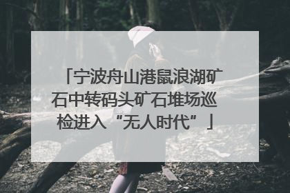 宁波舟山港鼠浪湖矿石中转码头矿石堆场巡检进入“无人时代”