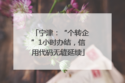 宁津：“个转企”1小时办结，信用代码无缝延续