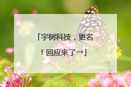 宇树科技，更名！回应来了→