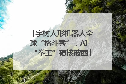 宇树人形机器人全球“格斗秀”，AI“拳王”硬核破圈