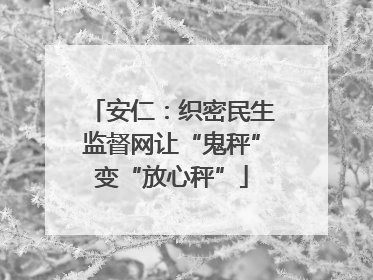 安仁：织密民生监督网让“鬼秤”变“放心秤”