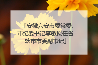 安徽六安市委常委、市纪委书记李敏拟任省辖市市委副书记