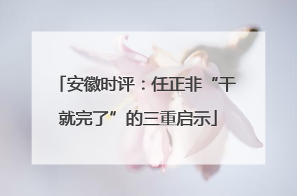 安徽时评：任正非“干就完了”的三重启示