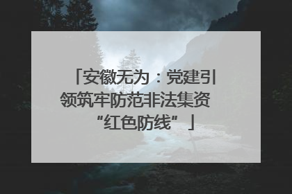 安徽无为：党建引领筑牢防范非法集资“红色防线”