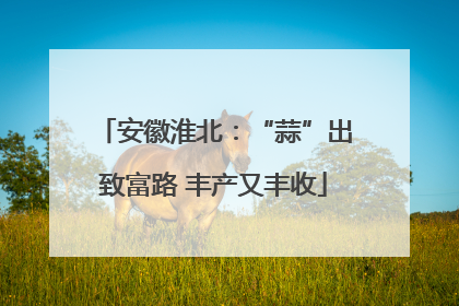 安徽淮北：“蒜”出致富路 丰产又丰收