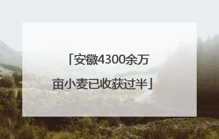 安徽4300余万亩小麦已收获过半