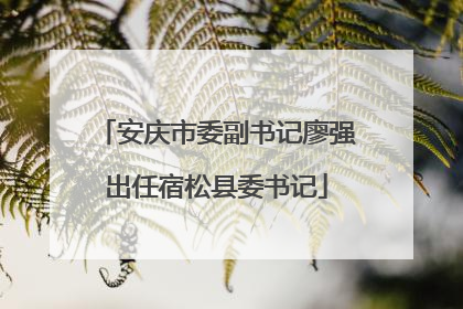 安庆市委副书记廖强出任宿松县委书记
