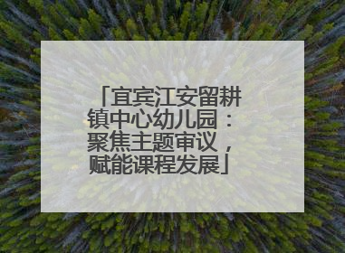 宜宾江安留耕镇中心幼儿园：聚焦主题审议，赋能课程发展