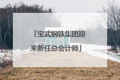 宝武钢铁集团迎来新任总会计师