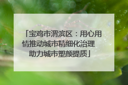 宝鸡市渭滨区：用心用情推动城市精细化治理 助力城市塑颜提质