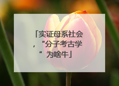实证母系社会，“分子考古学”为啥牛