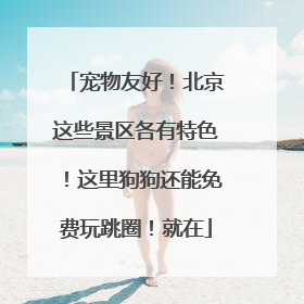 宠物友好！北京这些景区各有特色！这里狗狗还能免费玩跳圈！就在