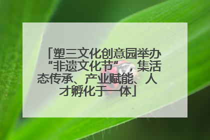 塑三文化创意园举办“非遗文化节”，集活态传承、产业赋能、人才孵化于一体