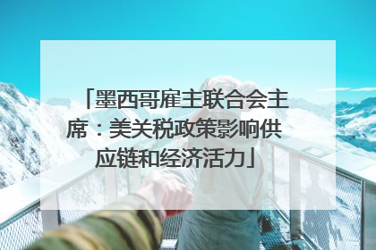 墨西哥雇主联合会主席：美关税政策影响供应链和经济活力