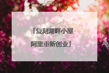 复刻湖畔小屋 阿里重新创业
