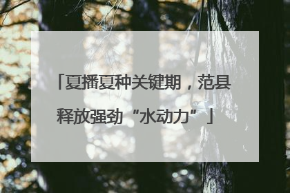 夏播夏种关键期，范县释放强劲“水动力”