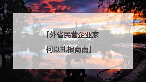 外省民营企业家何以扎根商南