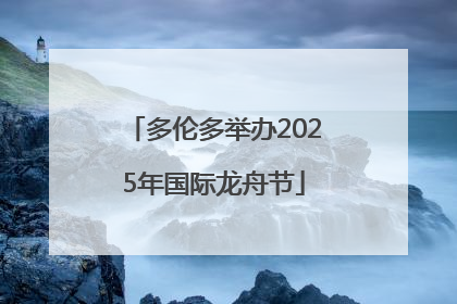 多伦多举办2025年国际龙舟节