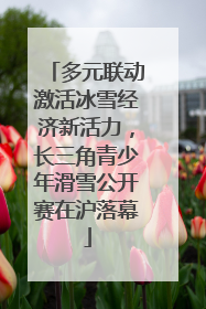 多元联动激活冰雪经济新活力，长三角青少年滑雪公开赛在沪落幕