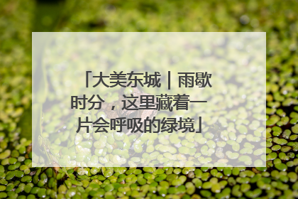 大美东城｜雨歇时分，这里藏着一片会呼吸的绿境