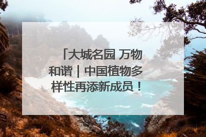 大城名园 万物和谐｜中国植物多样性再添新成员！它只在西藏墨脱