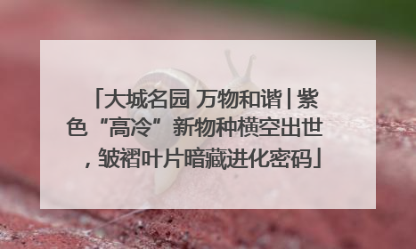 大城名园 万物和谐│紫色“高冷”新物种横空出世，皱褶叶片暗藏进化密码