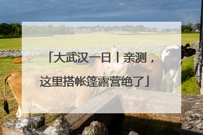 大武汉一日丨亲测，这里搭帐篷露营绝了